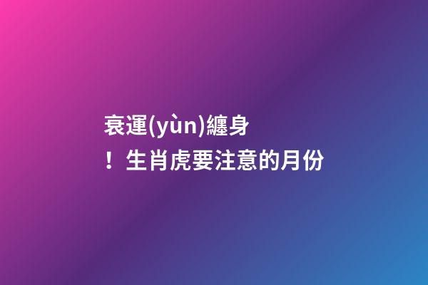 衰運(yùn)纏身！生肖虎要注意的月份